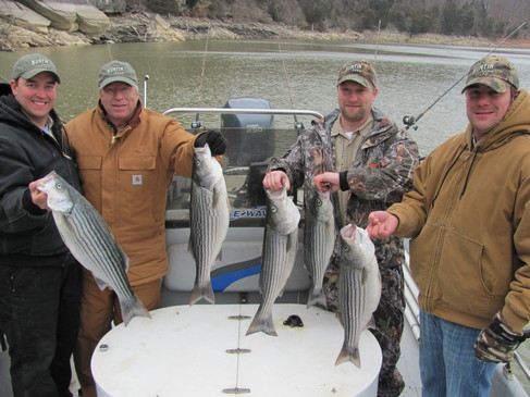 Nice Striped Bass